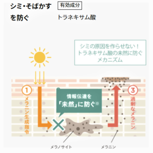 ホワイトニングクリアセラム有効成分トラネキサム酸が紫外線を浴びた肌がシミの原因メラノサイトを作らせない、未然に防ぐ挿絵です