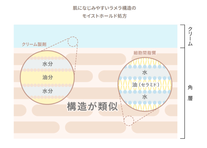 皮膚構造の挿絵。角層の中は水分・油分（セラミド）・水分の順番で隙間を埋めてくれており、アルティモイストクリームも同じ構造の働きをしてくれているのを説明する画像です