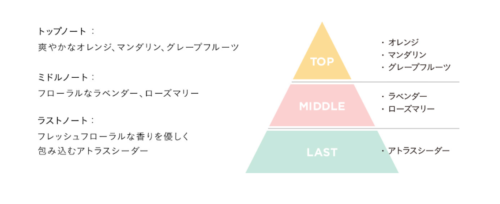 エトヴォスシャンプーの香りをピラミッド型で表した画像です。トップノートは爽やかなオレンジ、マンダリン、グレープフルーツ、ミドルノートはフローラルなラベンダー、ローズマリー、ラストノートはアトラスシーダー