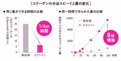 ファンケルエンリッチプラスに使用されている成分エクトインでのコラーゲン分泌の時間を表す棒グラフ（左）とエクトインと無処理での同一時間に作られたコラーゲンの量を比較した折れ線グラフ（右）