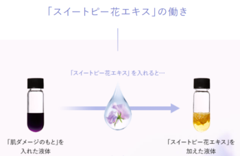 ファンケルエンリッチプラスに使用されている成分のスイトピー花エキスの働きを確認する写真で、肌ダメージの元を入れた黒い液体にスイトピー花エキスを加えると黄色の透明の液体に変わりました。